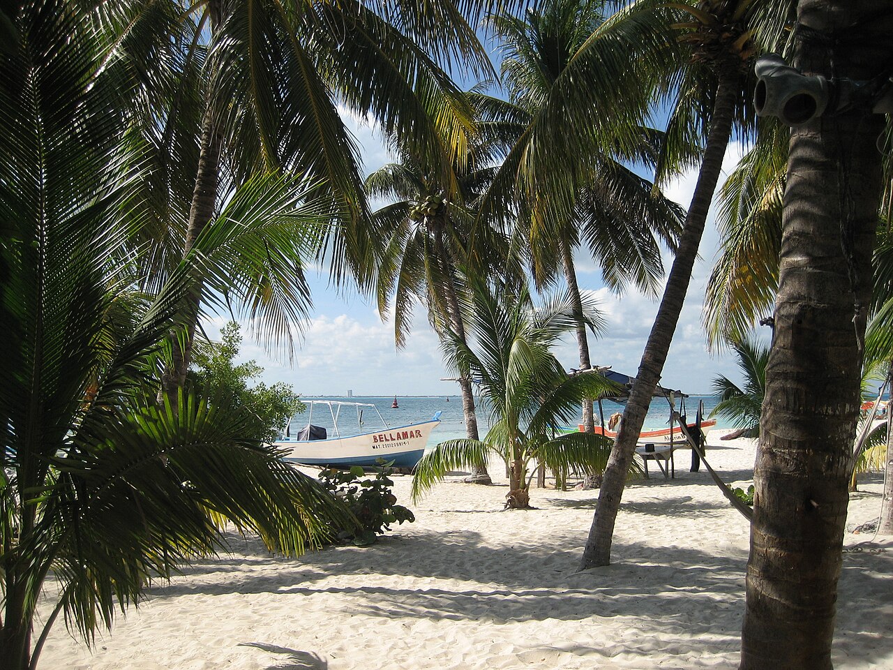 Plage bordée de palmiers